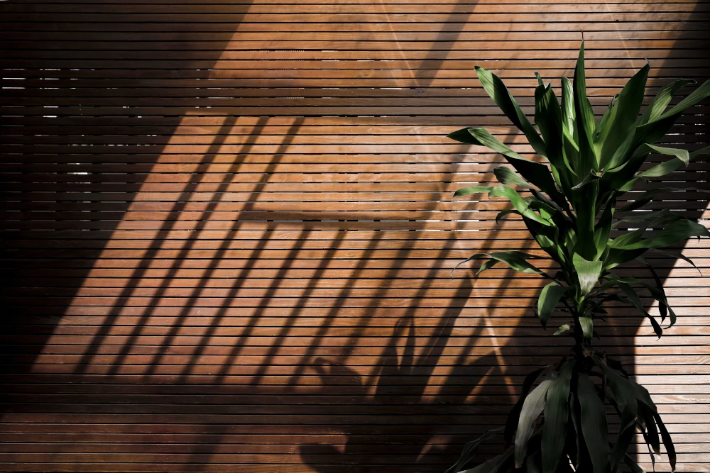  Shadows on a bamboo wall representing the importance of using ecological materials for sustainable home expansion